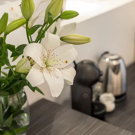 Πανσιόν Guesthouse Main Square 4*